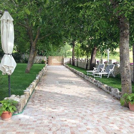 Agriturismo Capriccio Di Giove 캔사노 외부 사진