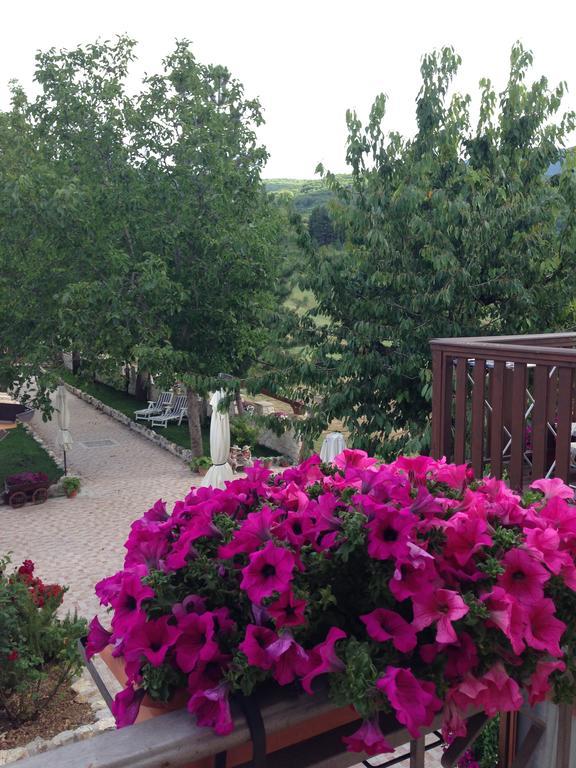 Agriturismo Capriccio Di Giove 캔사노 외부 사진